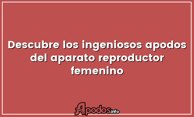 Descubre los ingeniosos apodos del aparato reproductor femenino
