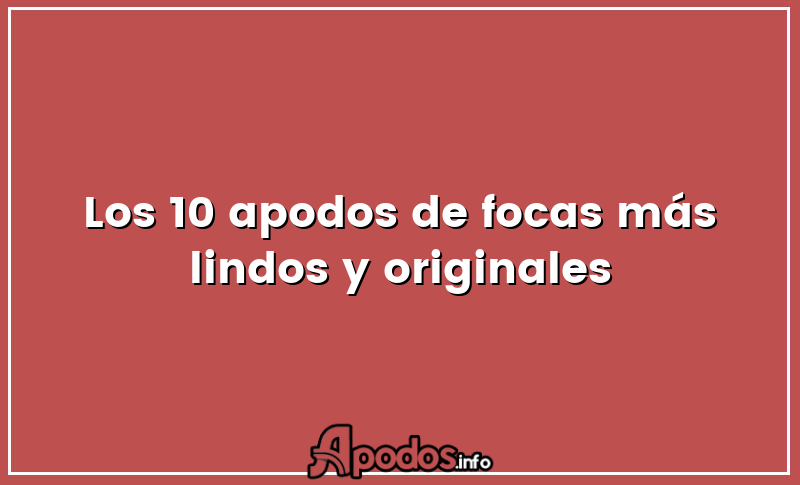 Los 10 apodos de focas más lindos y originales